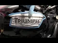 Delboy s Garage Triumph Tank Badges Free Custom Upgrade