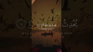حالات واتس قران كريم بصوت جميل قران حالات واتس حالات واتساب قران راحه نفسيه تصميم 