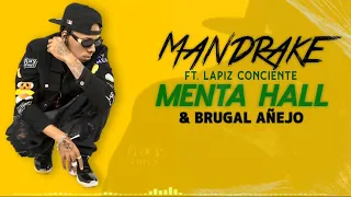 Lapiz Conciente - Mandrake El Malocorita - Menta Hall x Brugal Añejo