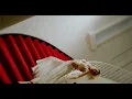 Download Lagu Charlotte Lawrence - Slow Motion (Official Music Video)