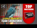 isian suara unik alternatif variasi materi