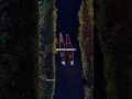 Download Lagu Zaalima slowed and reverb | Aesthetic status | #shorts