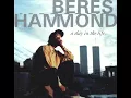 Download Lagu Beres Hammond   Can You Play Some More  1998
