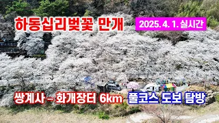 하동(쌍계사)십리벚꽃길 벚꽃만개(2025.4.1) 쌍계사 - 화개장터 풀코스 벚꽃터널 + 드론촬영영상 썸네일