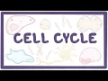 Cell cycle - microbiology biology physiology