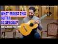 Lagu ONE OF THE MOST POPULAR GUITARS! WGM #191 | Andrea Tacchi, Hopf, Valencia, Stark, Zontini, Matzrafi