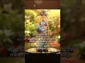 Lagu പാദങ്ങളിൽ പൂവായി പൊഴിയാൻ തുളസിക്കതിരായി viriyaal #guruvayoorappan #krishnastatus