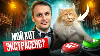 Битва экстрасенсов ЖИВОТНЫХ | Коты-предсказатели Харитон и Ахилл, осминог Пауль и собака-телепат