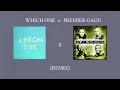 Download Lagu WHICH ONE x PREMIER GAOU [REMIX] 