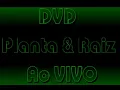 Planta e Raiz - DVD Ao Vivo  - Tô No Barato