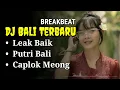 Download Lagu DJ LEAK BAIK | Remix Bali Breakbeat Terbaru 2024