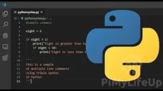 Python - Variables Strings Datatypes Type Casting f-strings Indentation User
