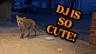 DJ SEEMS TO BE GETTING CUTE IF THATS POSSIBLE