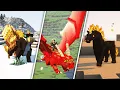 Mythic Mounts 1 20 1 Full Showcase