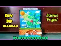 Photosynthesis 3D model Science project