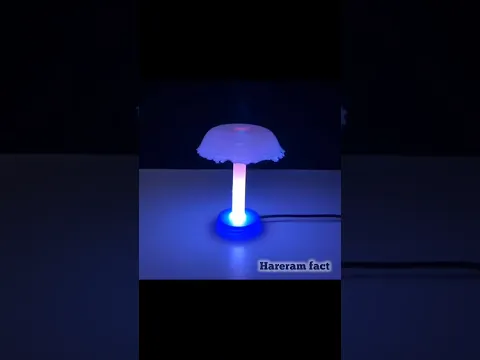 Make A Super Beautiful Decoration Light At Home  |  #hareramfact