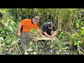 Download Lagu Gotong Royong Ngemas Tamui//Nebas Pun Kayu Gau Muat Jalai Nuhun Ke Aik