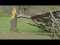 First Alert Weather Thunderstorm damages building near Camdenton Mo airport