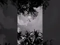 Download Lagu JkT48 - Aitakatta ( Lagu Viral Tiktok )