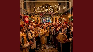 شايب لا لا دندنها