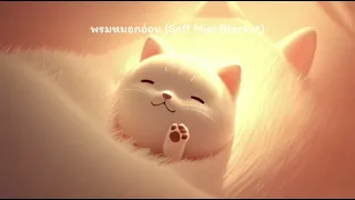 😴 เพลงกล่อมนอนเด็ก | พรมหมอกอ่อน Soft Mist Blanket | Kid Fun