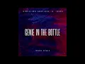 Christina Aguilera - Genie In The Bottle (IBARA REMIX)