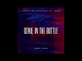 Download Lagu Christina Aguilera - Genie In The Bottle (IBARA REMIX)