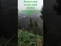 Download Lagu bangun pagi indah alam semesta