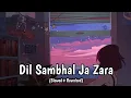 Lagu Dil Sambhal Ja Zara Lofi (Slowed Reverbed) | Arjit Singh | Music Only Lofi