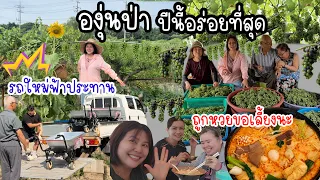 EP.1040 ได้รถใหม่ฟ้าประทานมาให้ถูกบ้านจริงๆ ใช้ขนองุ่นทั้งสวน ไม่เหนื่อยเลย 
