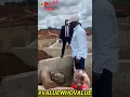 Download Lagu If you don't wanna cry don't watch this video. May God of Edo South and Edo State forgive Obaseki.