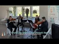 She’s Like Texas | The Josh Abbott Band performed by the Amp’d String Quartet
