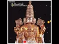 Download Lagu Elumalaiyaanin Paatha Kamalangal Potri Paniginra Velai Song Perumal Whatsapp Status
