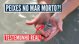 TESTEMULHO DE PEIXES NO MAR MORTO?! Caravana Israel com Aline