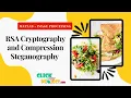 Matlab Image Processing Project - RSA Cryptography Steganography Techniques