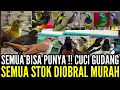 Download Lagu 🔴 HARI INI SEMUA BISA PUNYA ‼️CUCI GUDANG SEMUA STOK DIPROMOKAN 0838-7553-6945