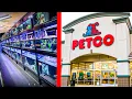 THIS IS A PETCO PET STORE IN THE UNITED STATES