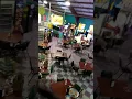 Cluggys fun wit jelly bellians vlog