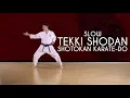 Tekki Shodan (SLOW) - Shotokan Karate-Do JKA
