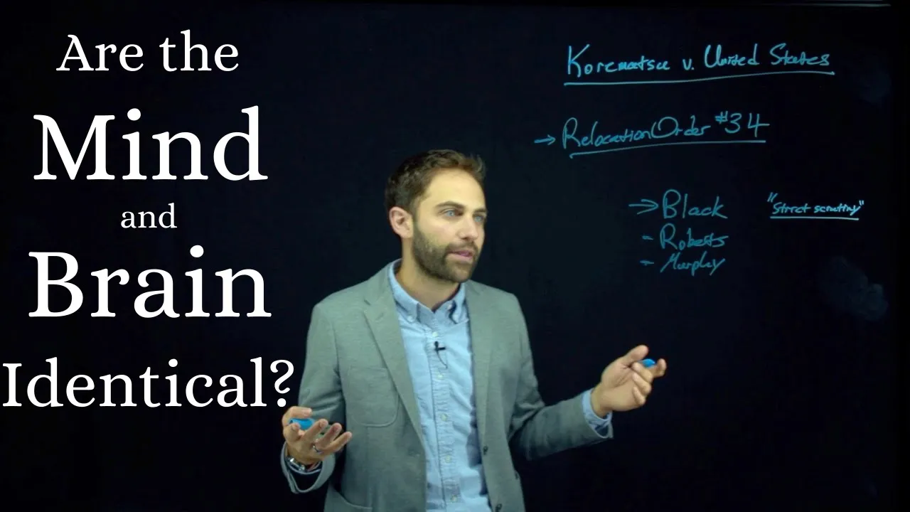 The Mind-Brain Identity Theory