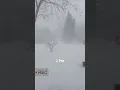 Snow Winetr Storm 2023 Blizzard Time-lapse