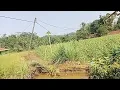 Download Lagu Suasana kampung ci binong