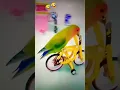 Download Lagu ting ting tang 😂#viral#animals#trending#shortfeed