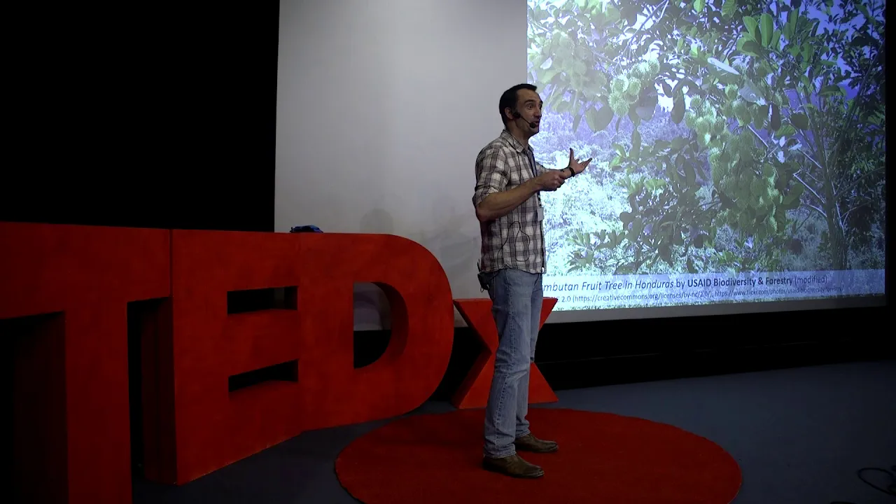 Seeing colour through animal eyes | Roger Santer | TEDxAberystwyth