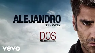 Alejandro Fernández - Tu Amor Perdí (Visualizer)