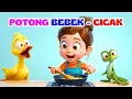 Download Lagu Potong Bebek Angsa - Cicak di Dinding Lagu Anak Indonesia - nursery rhyme Indonesia - Balita TK PAUD