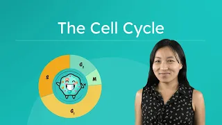 The Cell Cycle - Life Science for Kids!