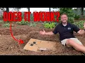 The TRUTH About Using Cardboard in your Landscape