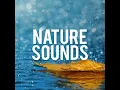 Gentle River Flow