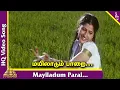 Lagu Mayiladum Parai Video Song | Manu Needhi Tamil Movie Songs | Murali | Prathyusha | Deva